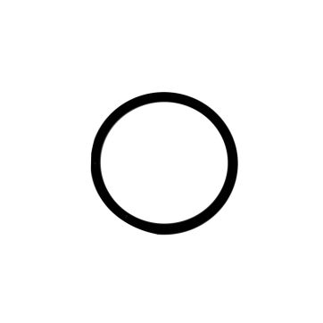 O-ring 
